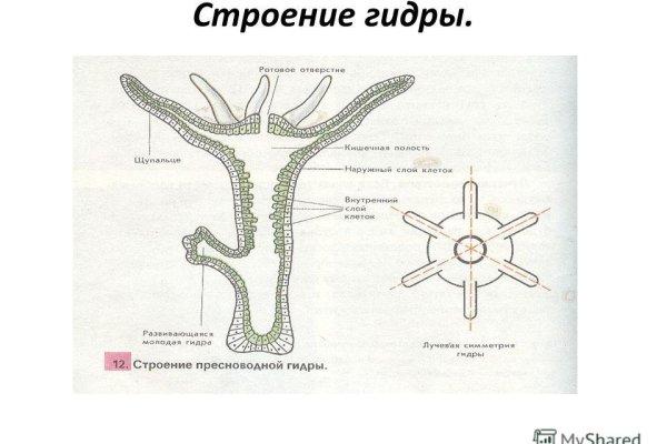 Магазин кракен дарк