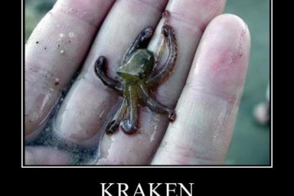 Kraken сайт покупок